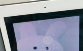 動画アプリSNOWに「すこぶる動くウサギ」の無料・顔認識スタンプが登場しました！